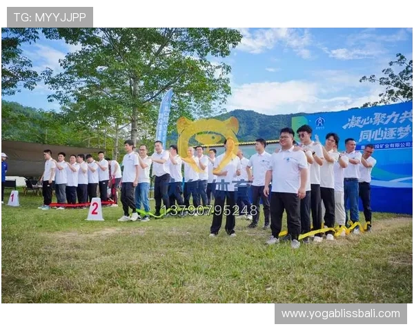 AG捕鱼登录线路维护与升级策略，确保平台持续稳定运行的关键措施