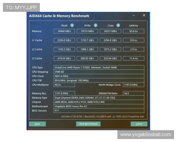 广东ag的贵宾会如何提升您的游戏等级与尊贵体验详细指南 广东ag的贵宾会如何提升您的游戏等级与尊贵体验详细指南